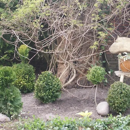 Meer, Dorf, Stille - Ferienhaeuser In Magra Gaerten - Azurblaues Zakrzewo (Slawno)